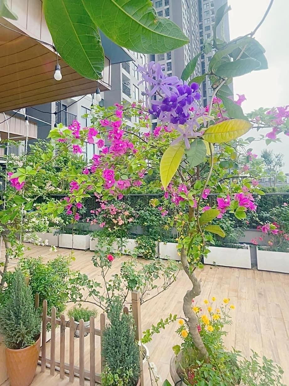 peaceful garden
