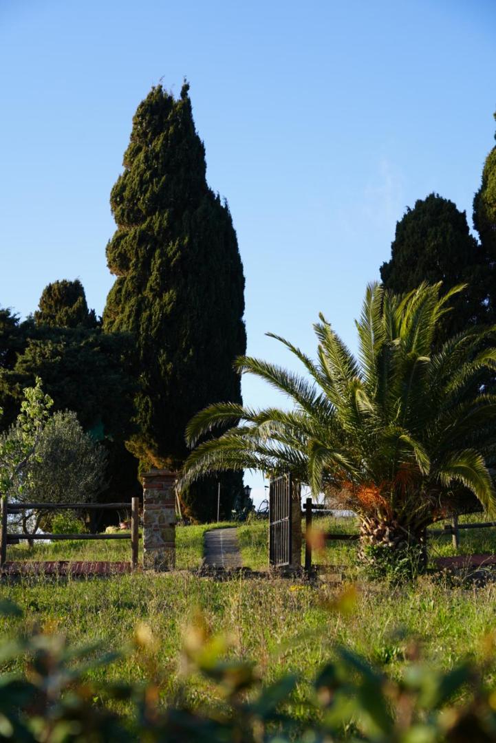 La Vitaverde Agriturismo view 4