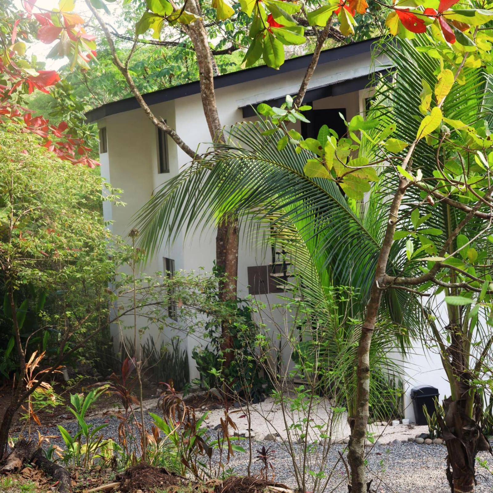 Vista Verde Surf & Studios - jungle View
