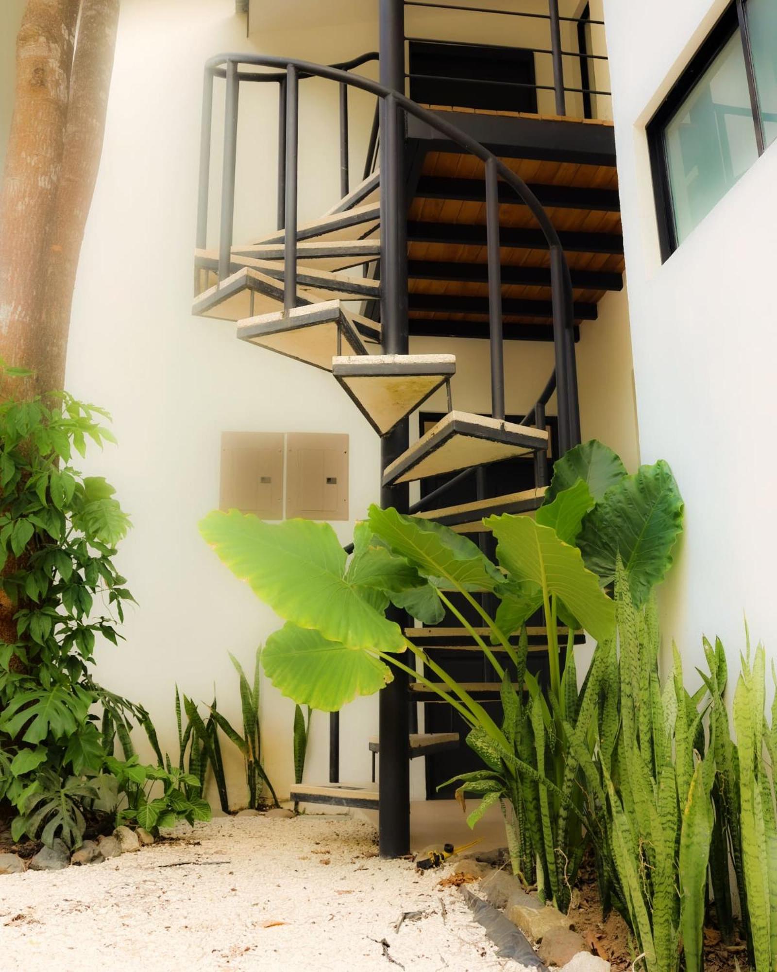 Vista Verde Surf & Studios - jungle View