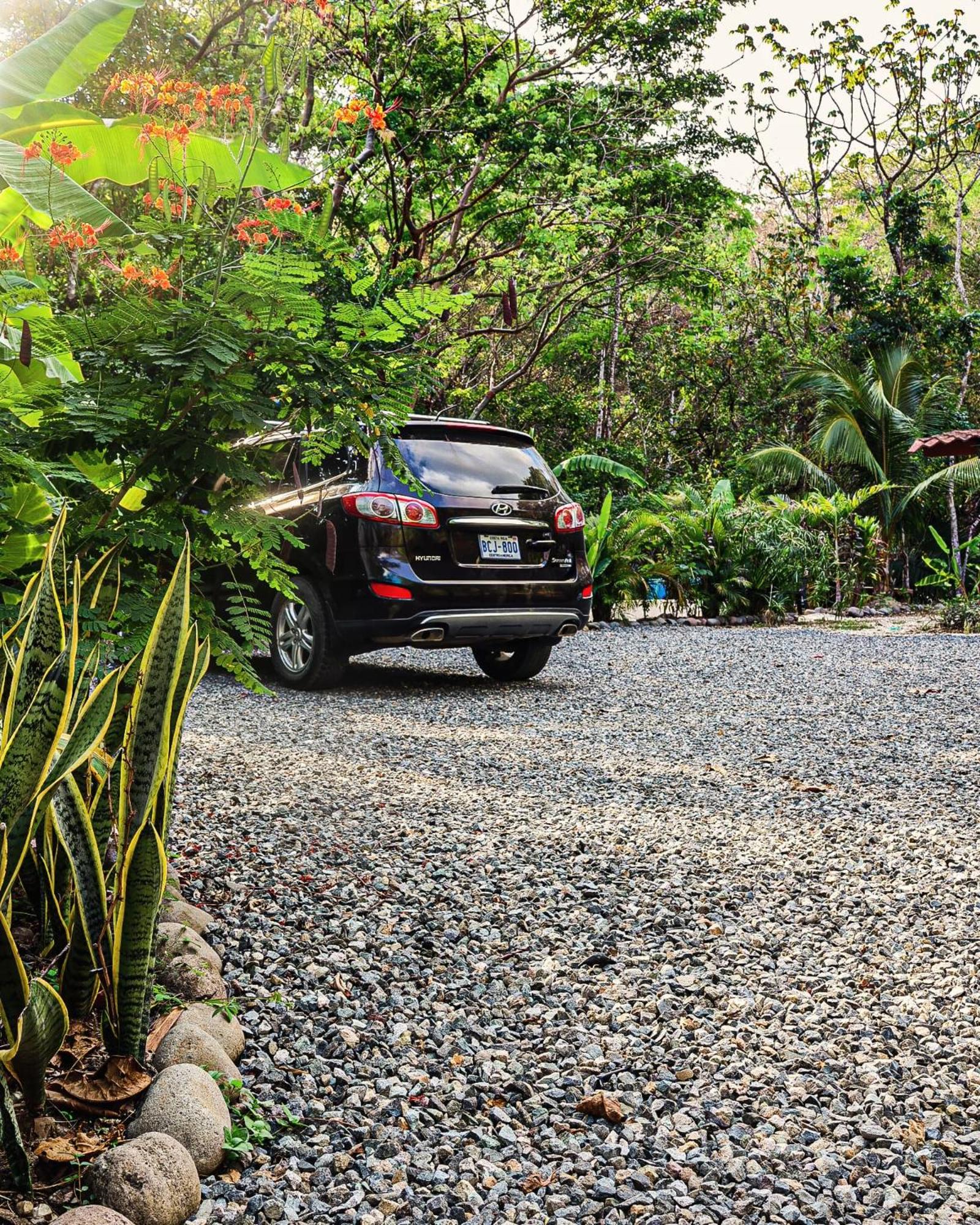 Vista Verde Surf & Studios - jungle View