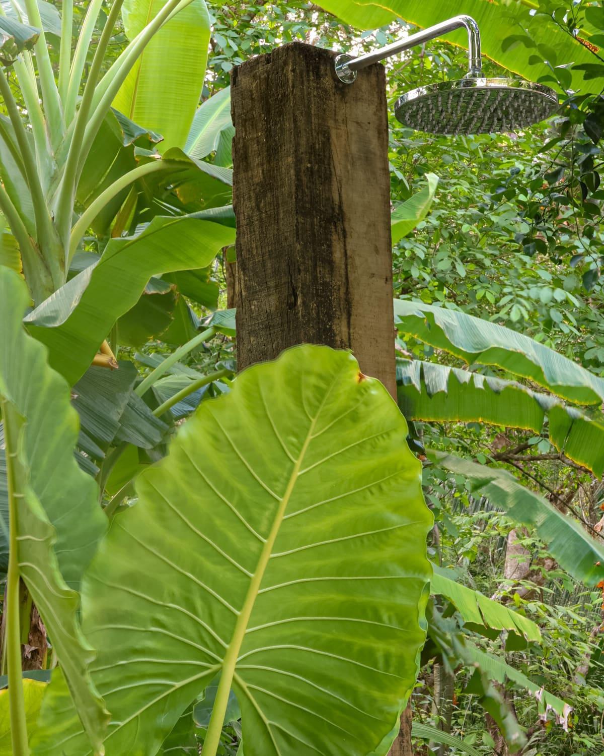 Vista Verde Surf & Studios - jungle View