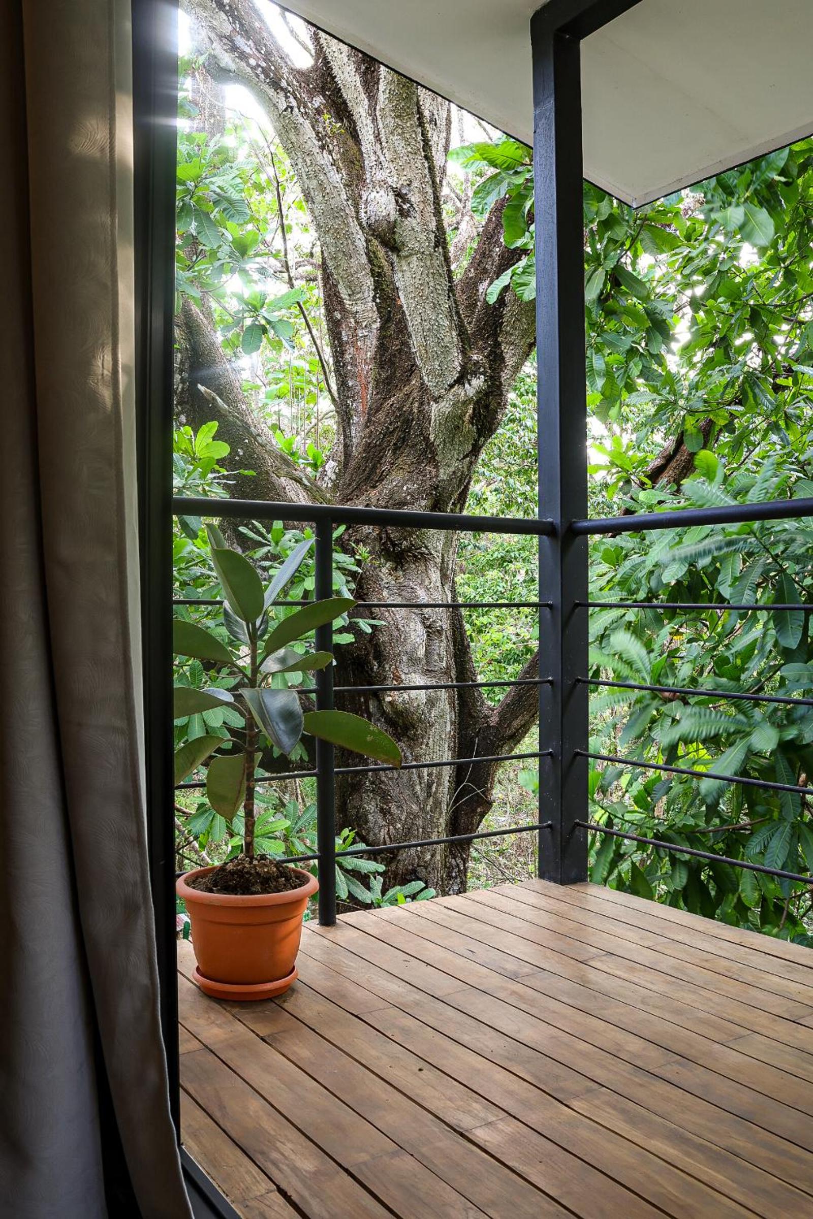 Vista Verde Surf & Studios - jungle View