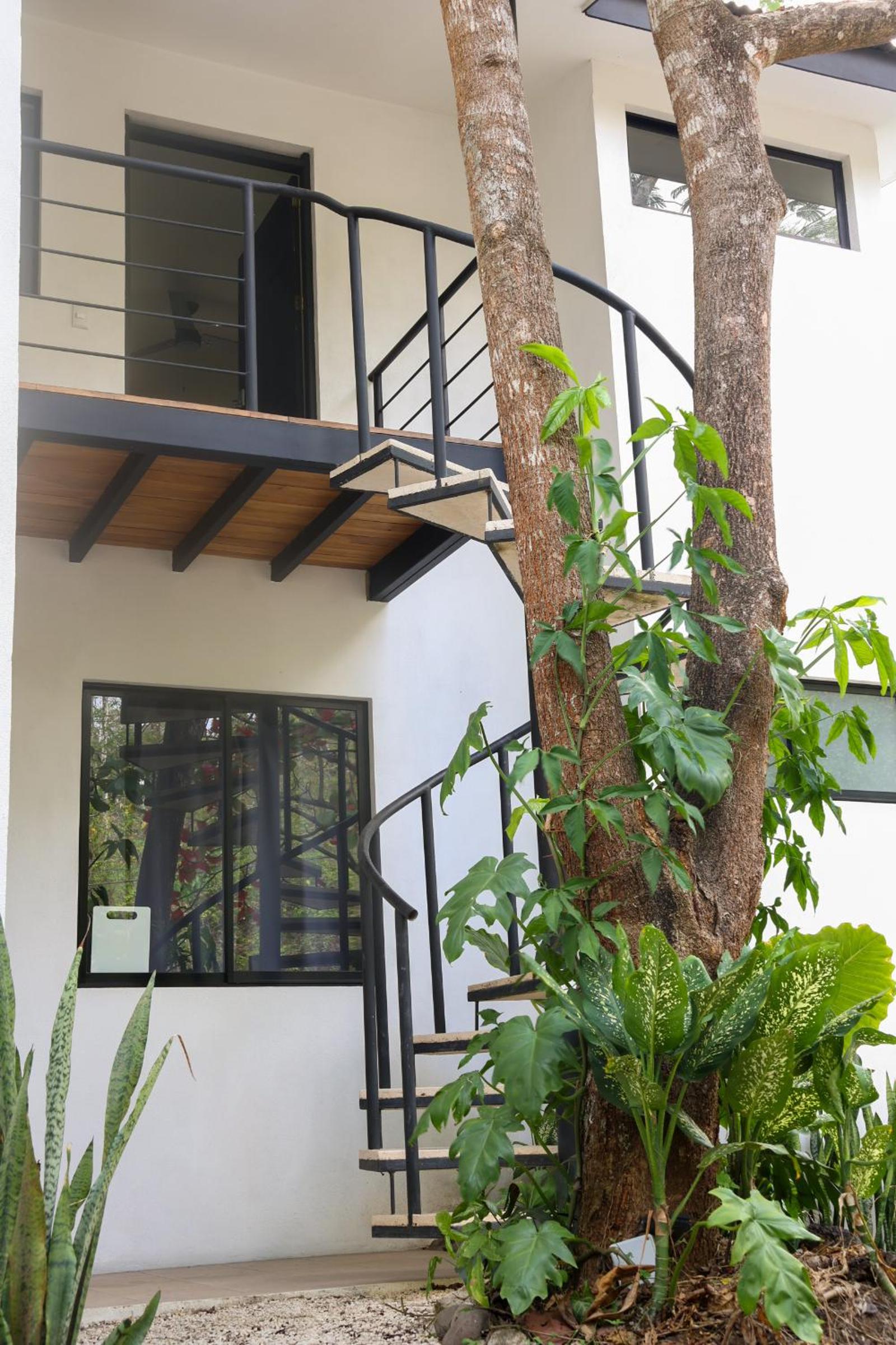 Vista Verde Surf & Studios - jungle View
