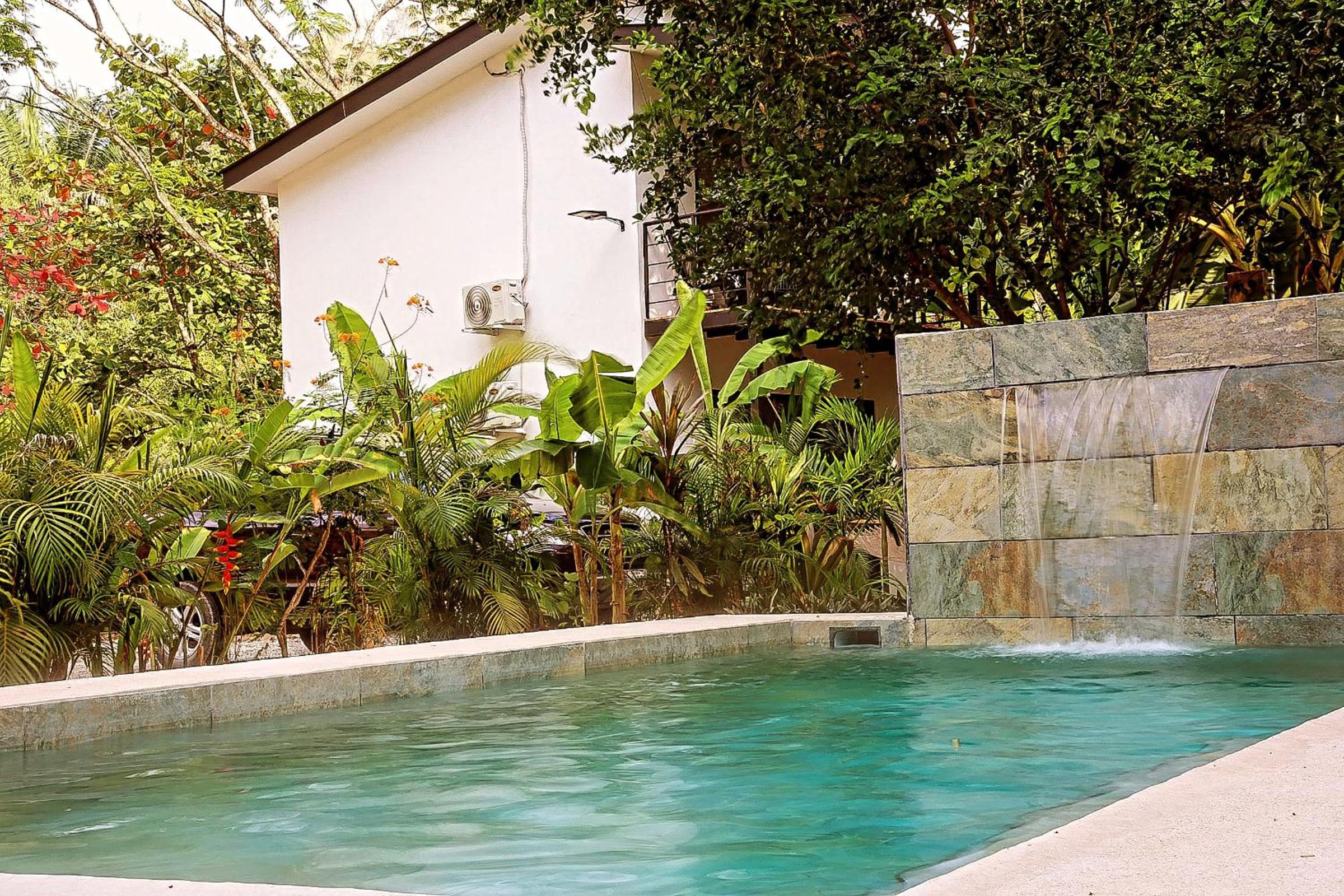 Vista Verde Surf & Studios - jungle View