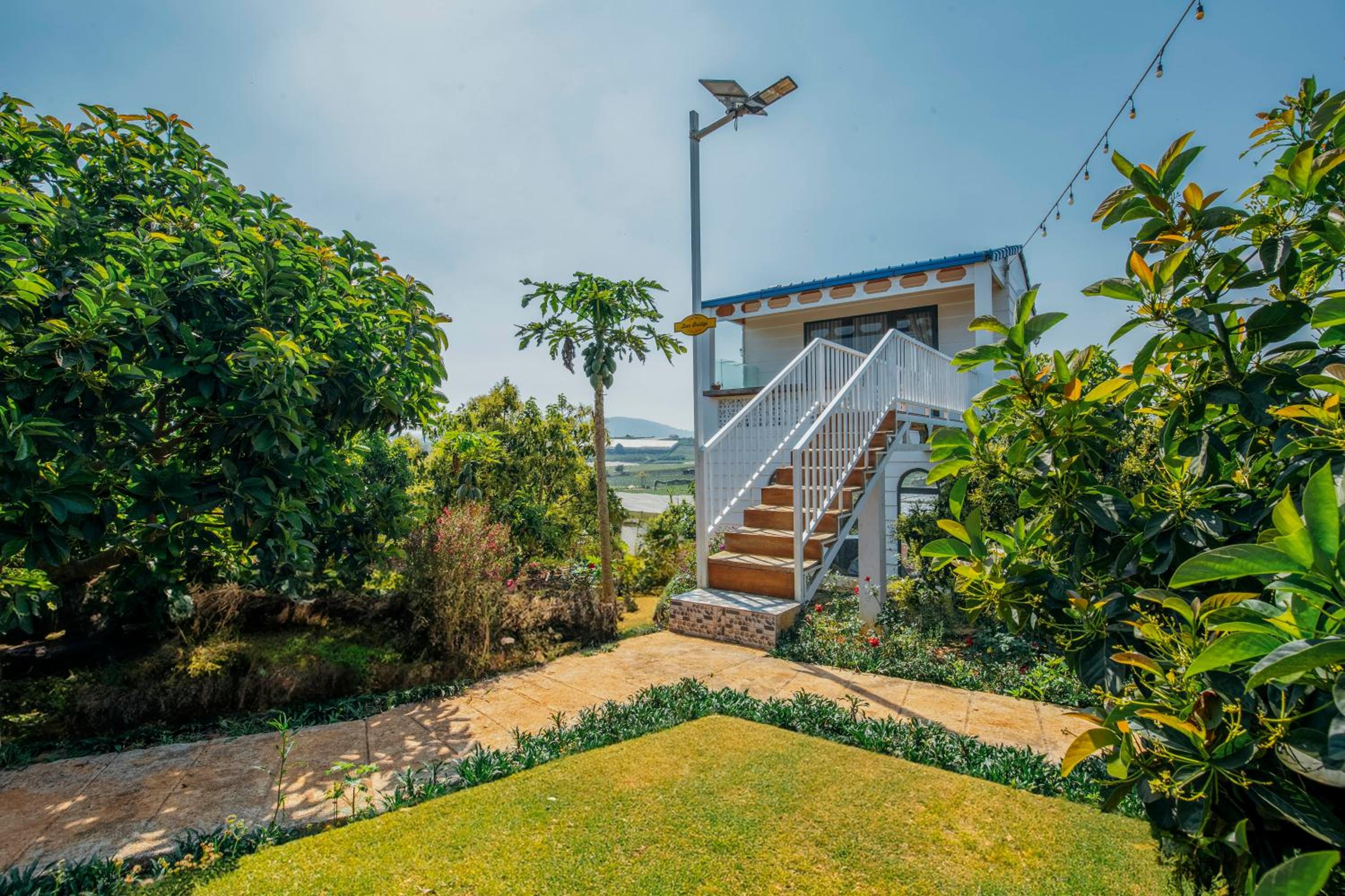 Điểm du lịch canh nông Avocado Farm view 4