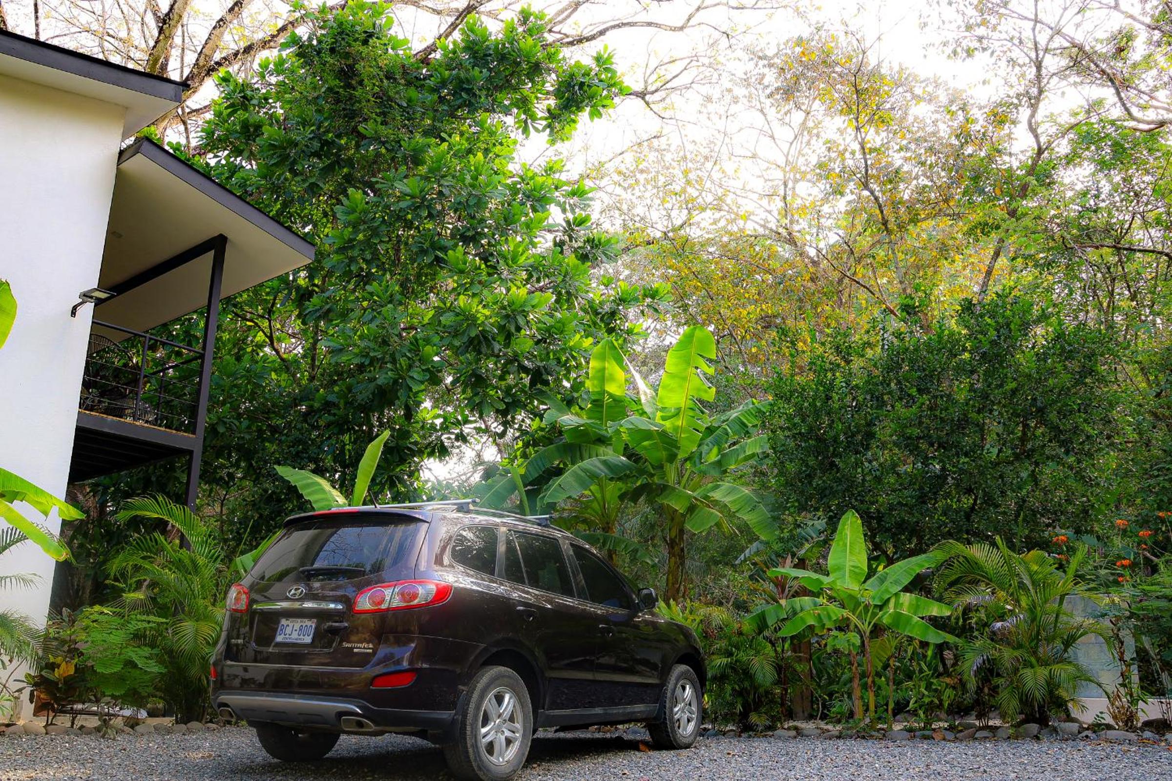 Vista Verde Surf & Studios - jungle View