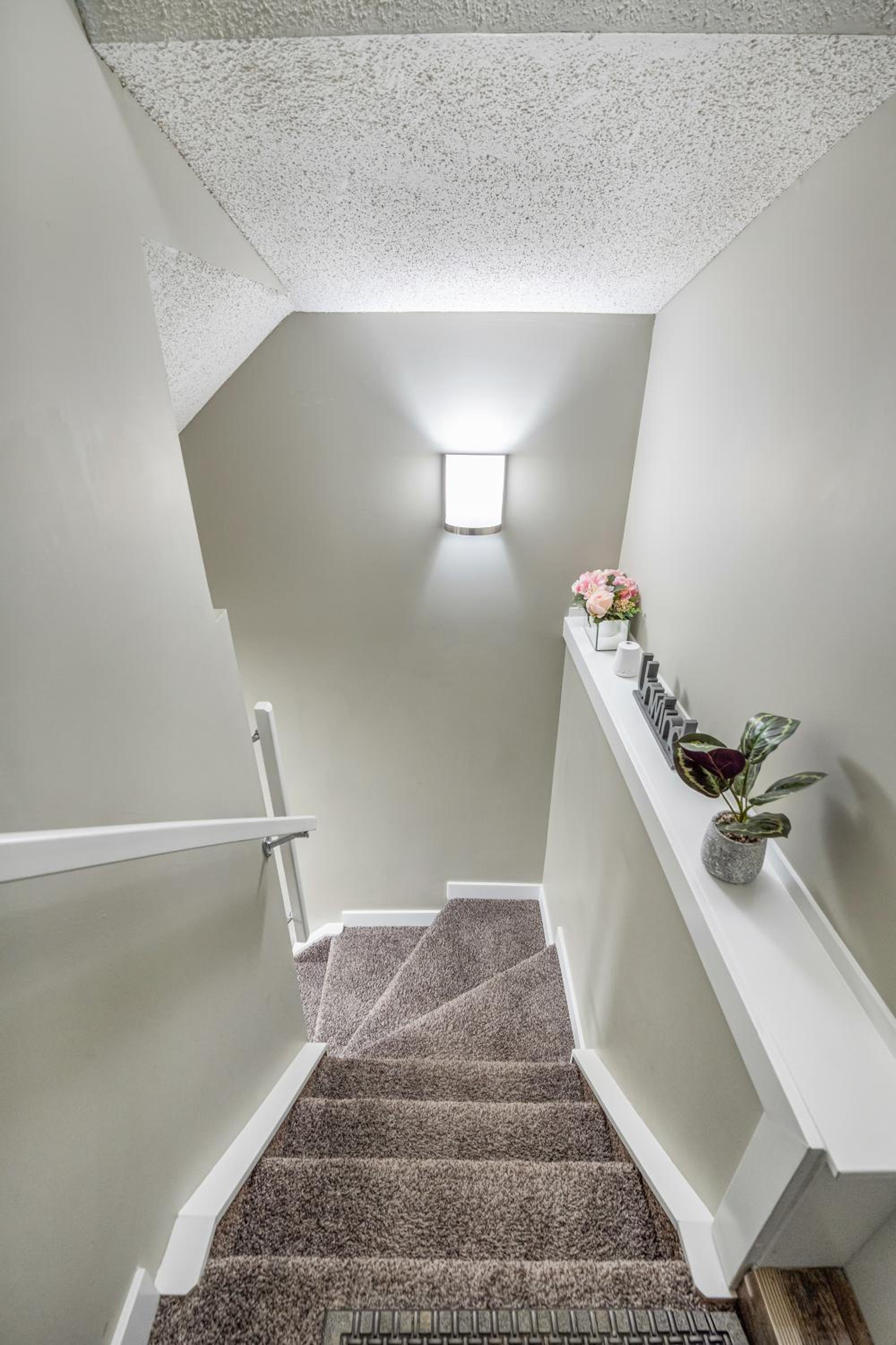 Newly renovated 2 bedroom basement suite