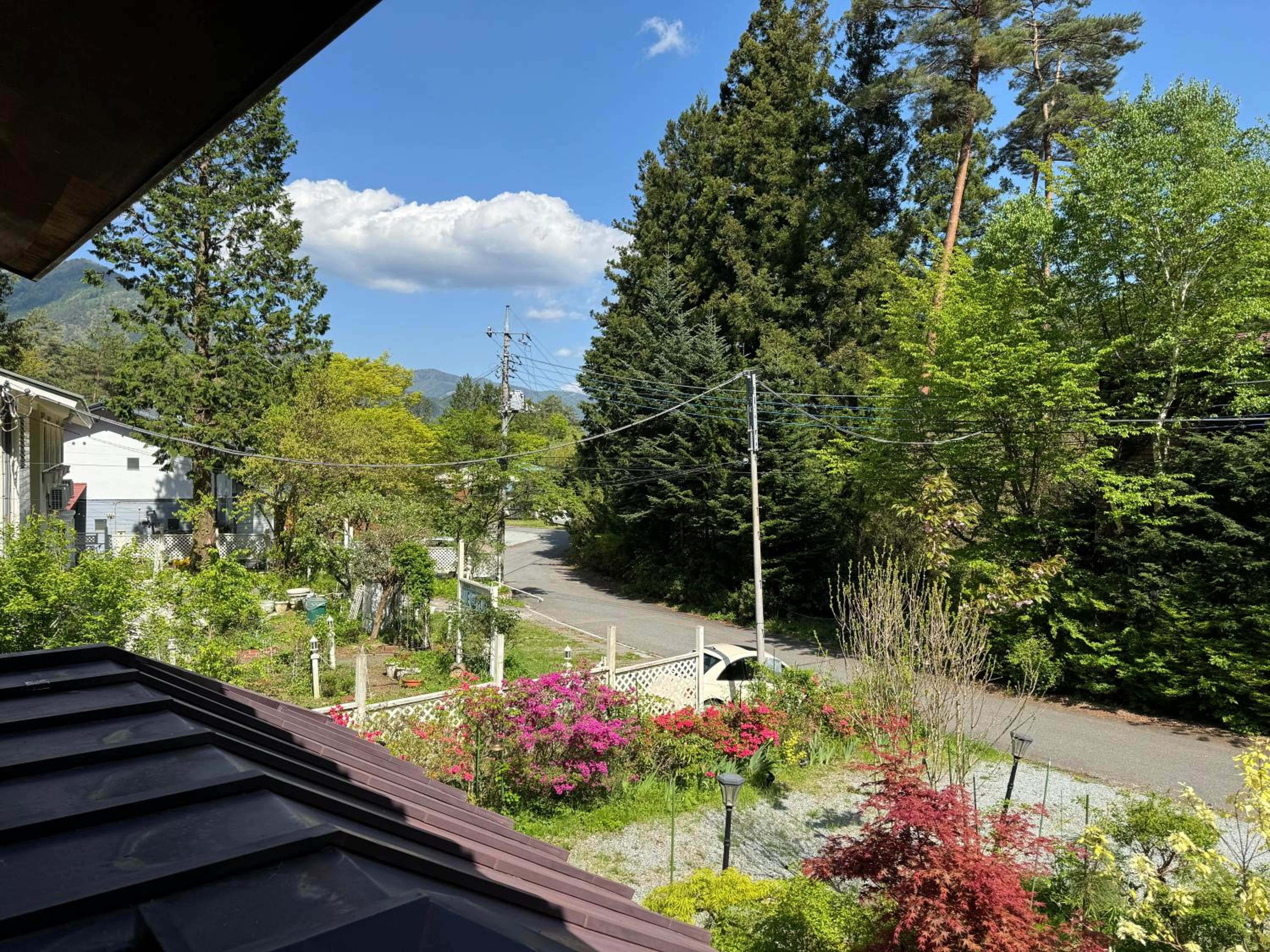 Photo 18