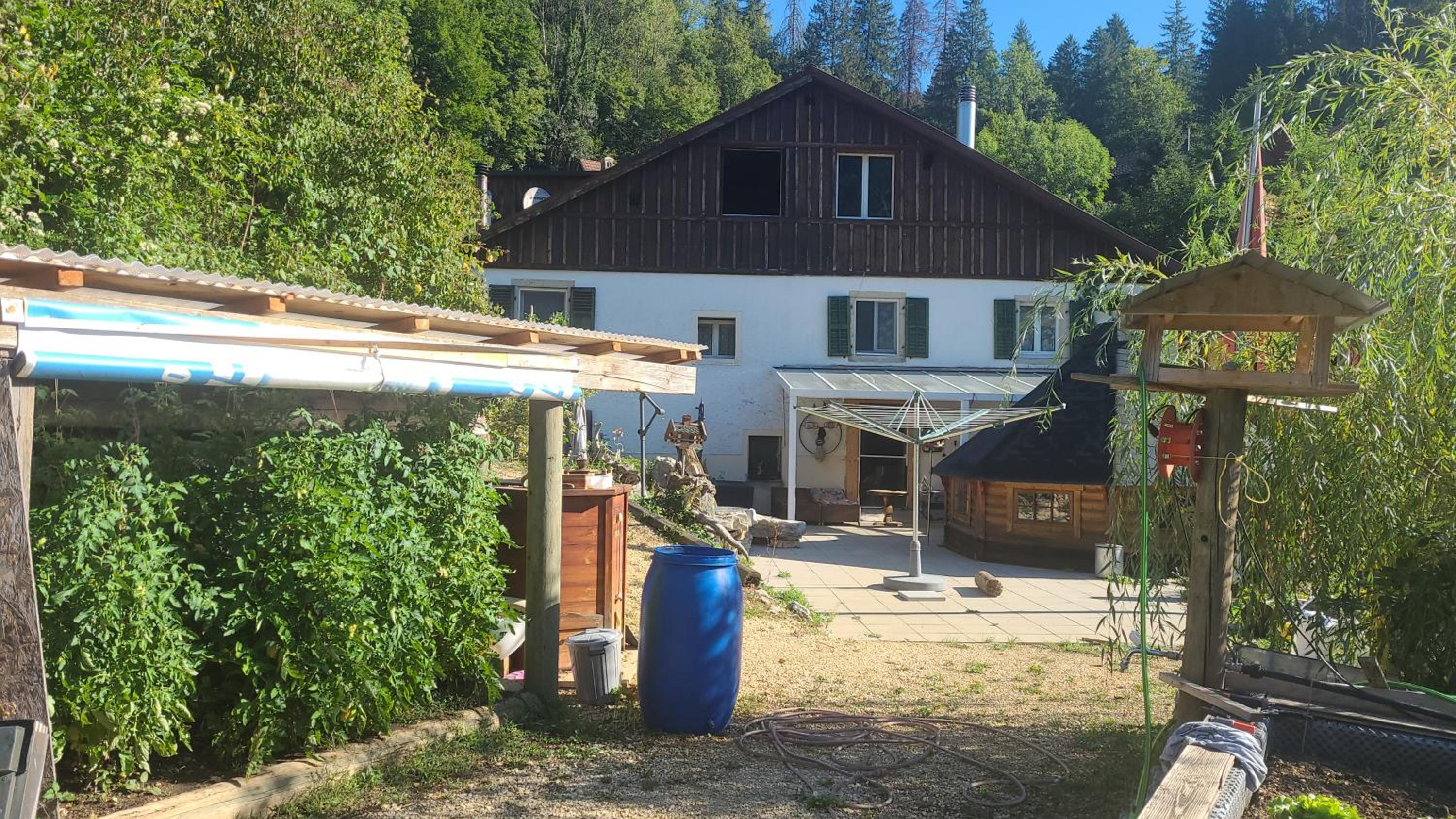 Photo 8