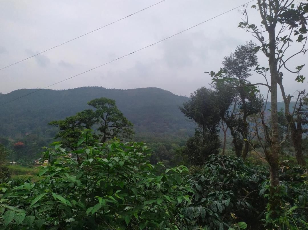Coorg light view 3