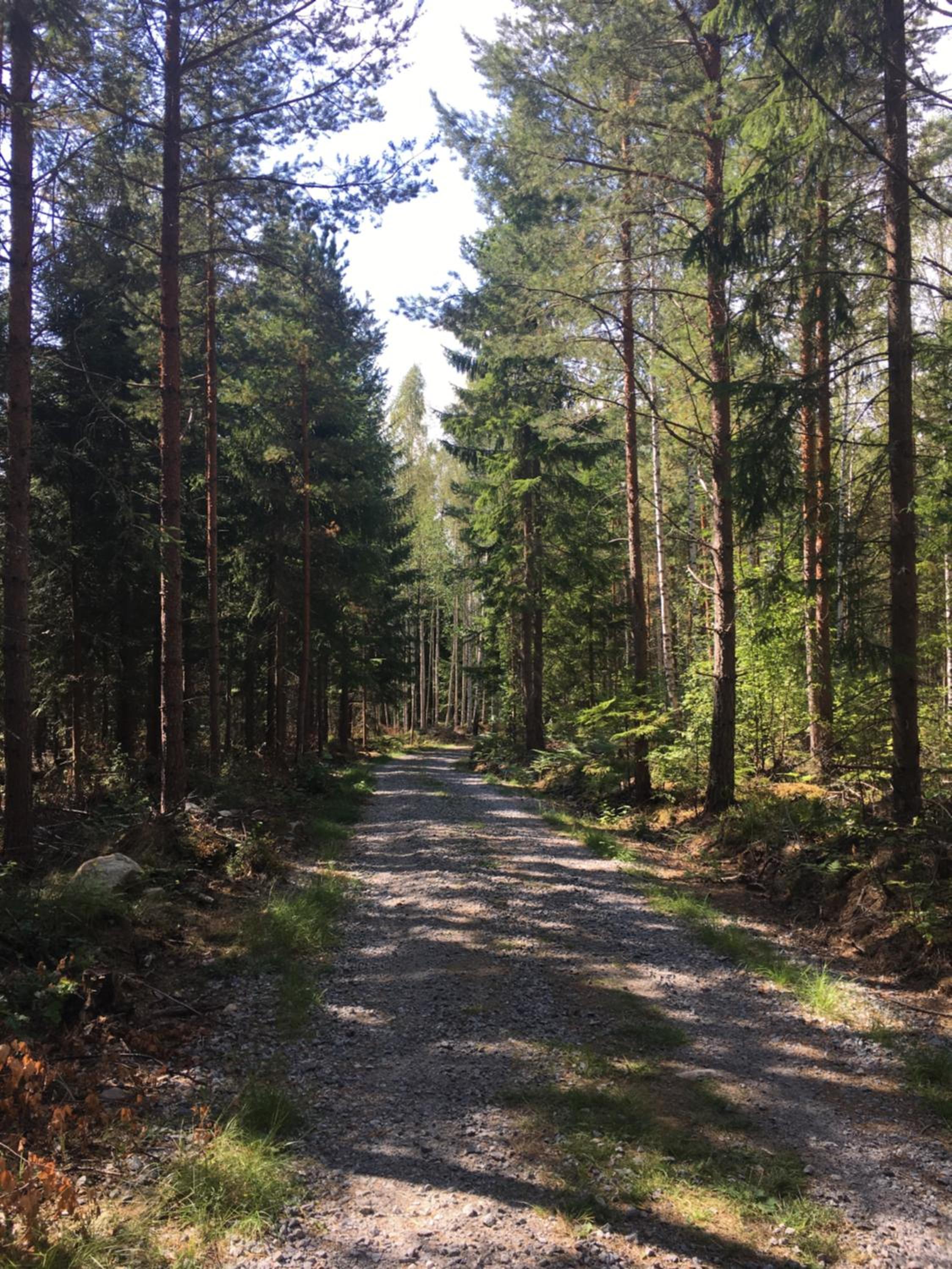 Jacobsdalstugan