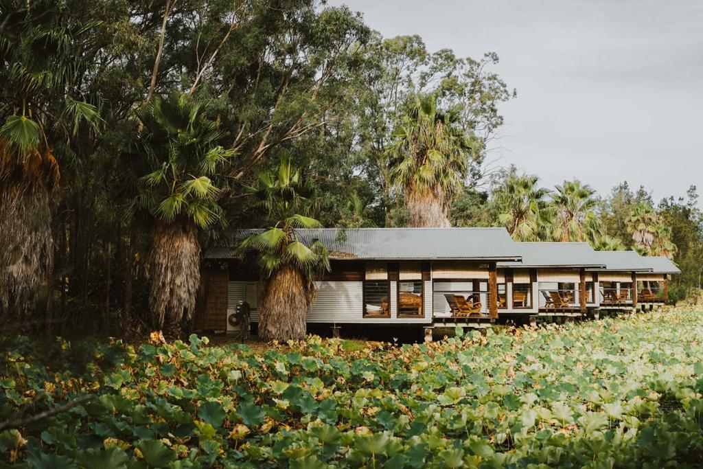 The Boathouses at Leaves & Fishes