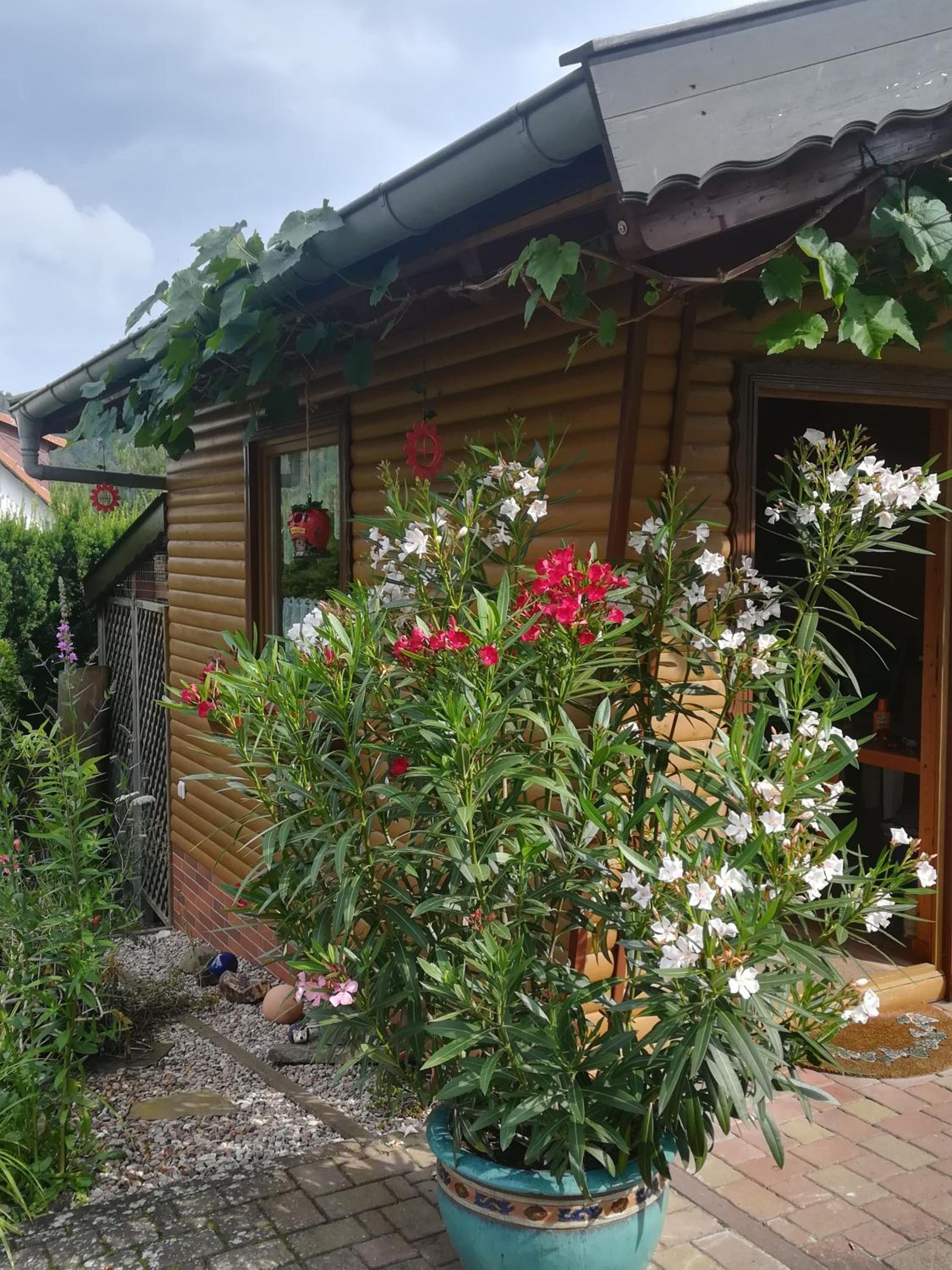 Ferienwohnung Edersonne