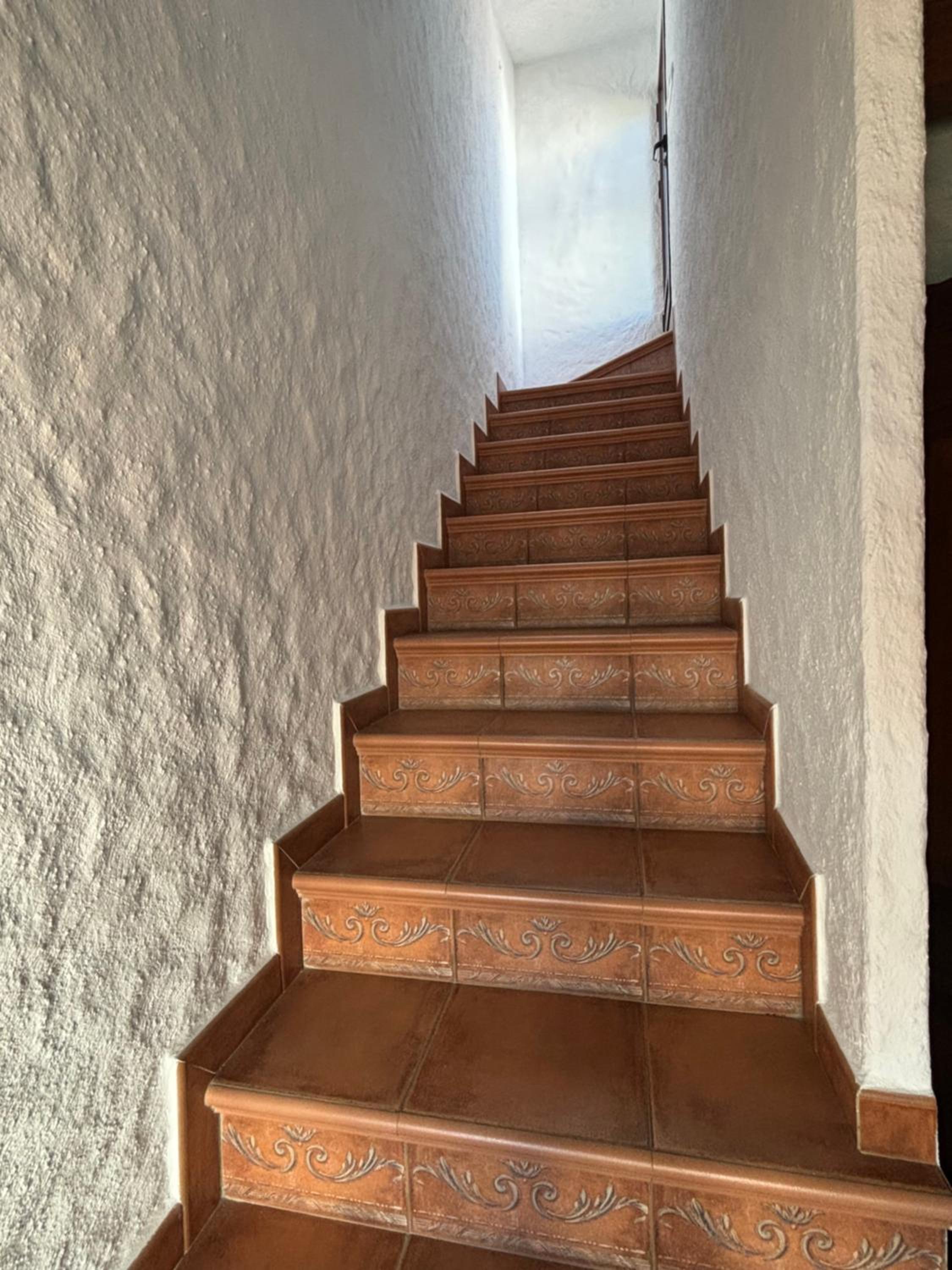 Casa Alma