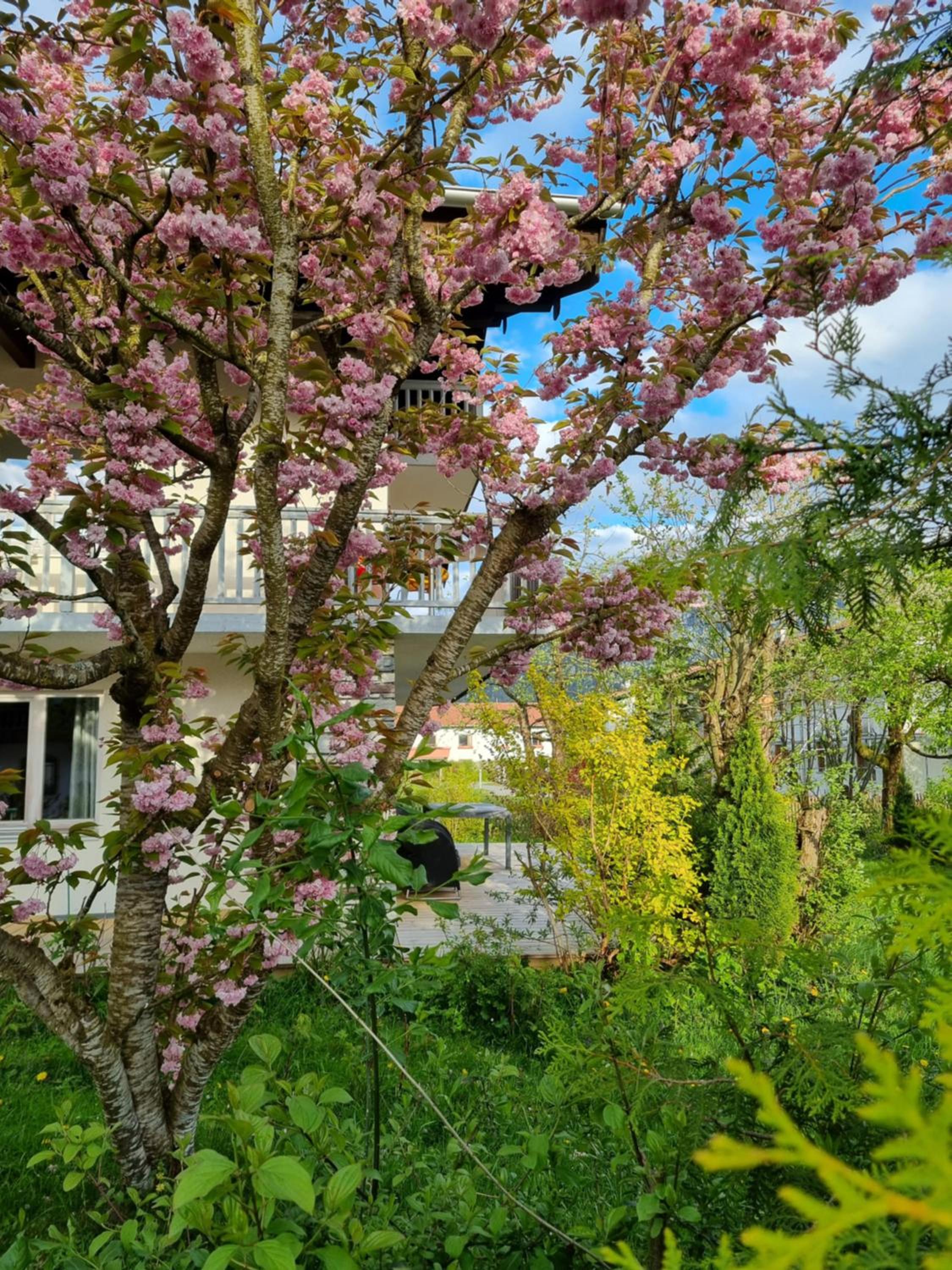 Großzügige Ferienwohnung mit Terrasse und Garten