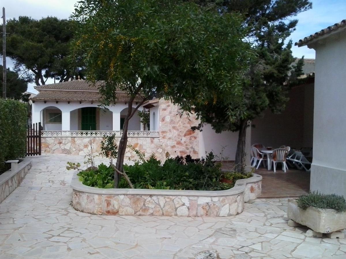 Photo 22