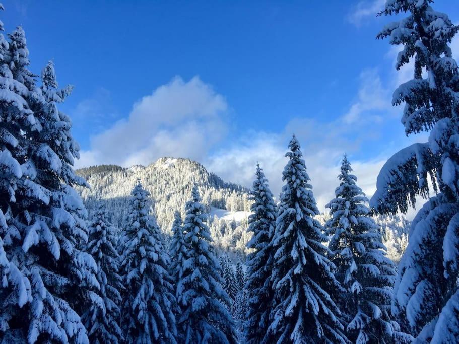 Ferienwohnung Wiesenglück nahe Tegernsee & Alpen