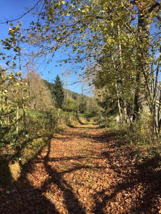 Ferienwohnung Wiesenglück nahe Tegernsee & Alpen