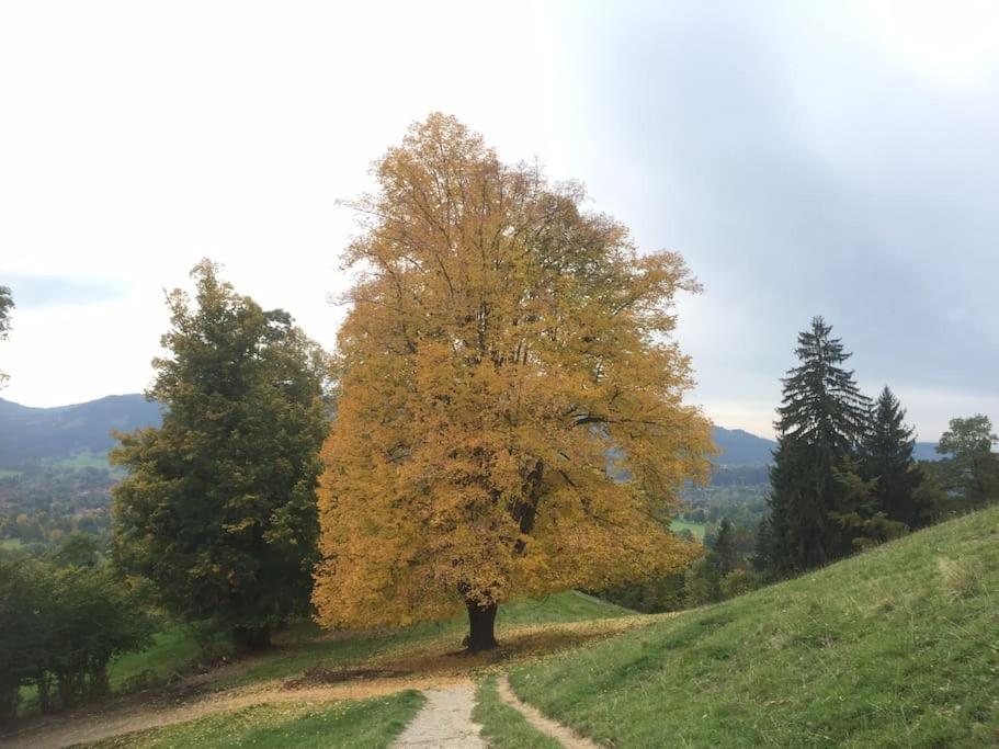 Ferienwohnung Wiesenglück nahe Tegernsee & Alpen