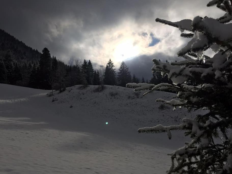 Ferienwohnung Wiesenglück nahe Tegernsee & Alpen