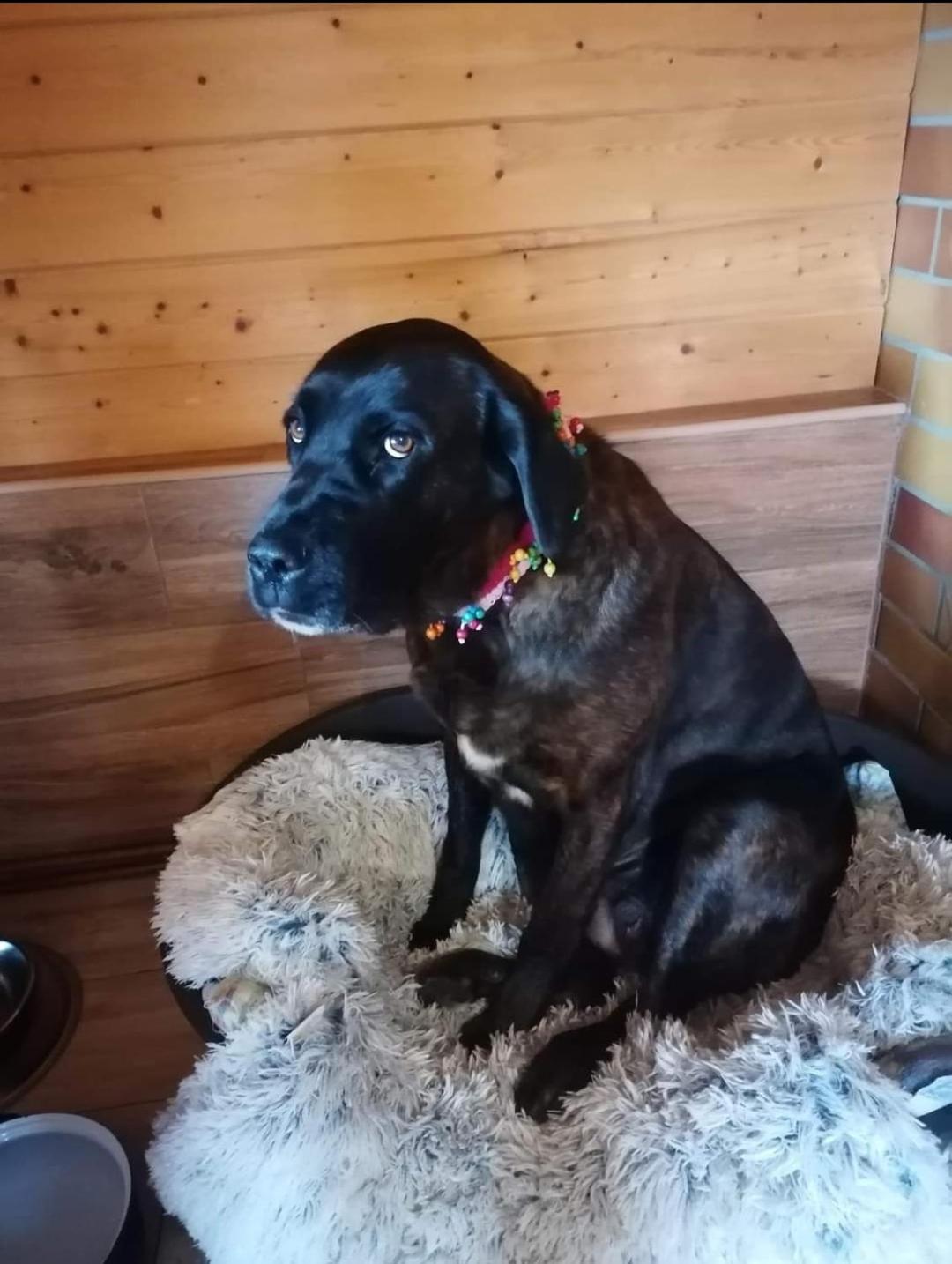 Apartmán Jako u Babičky