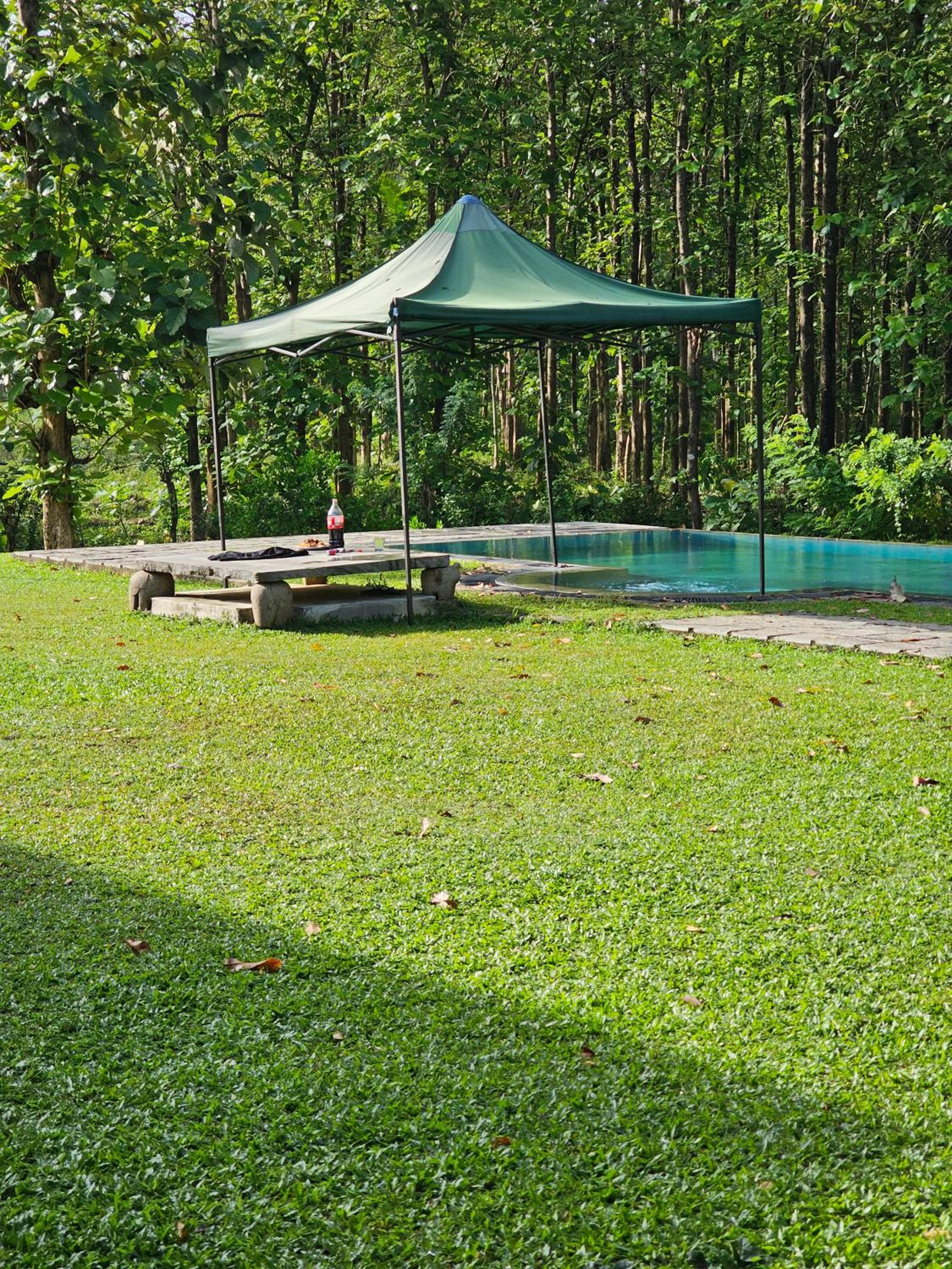Photo 10