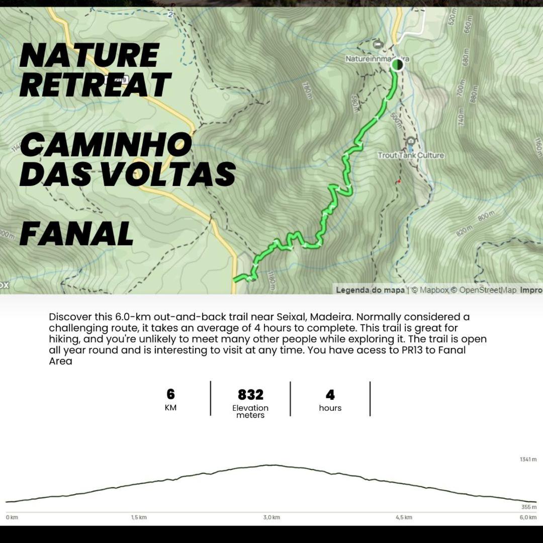 Nature Retreat - Laurel Forest