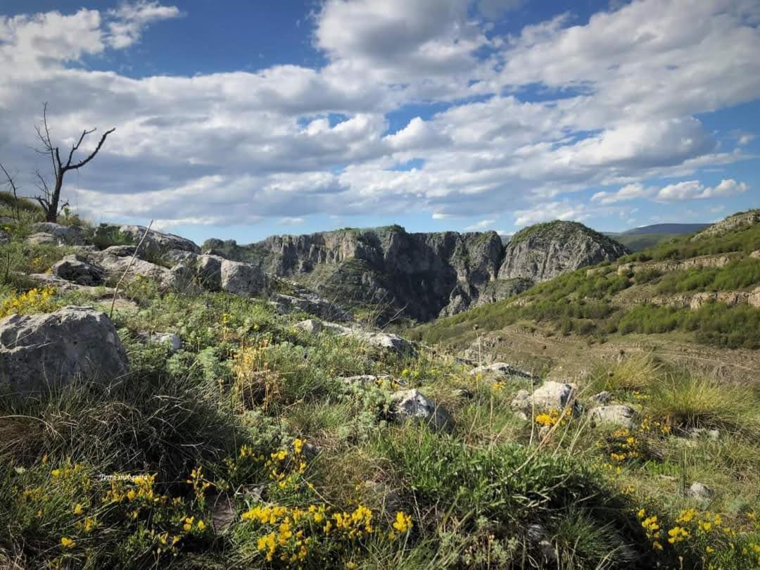 Prenoćište Stojadinović view 4