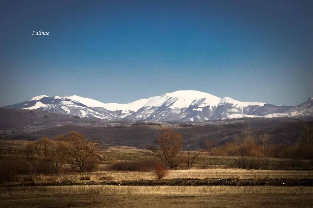 Prenoćište Stojadinović view 3