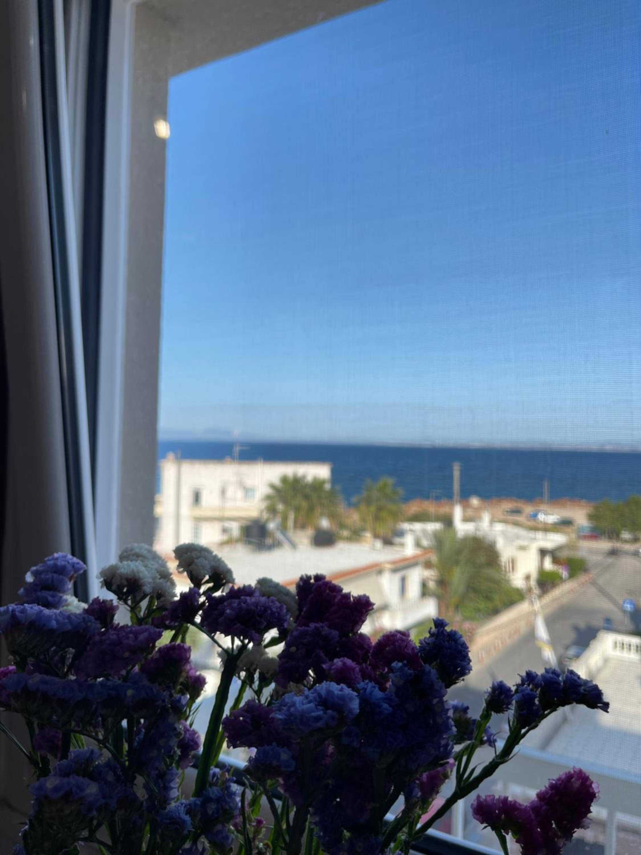 Almeta Apartment