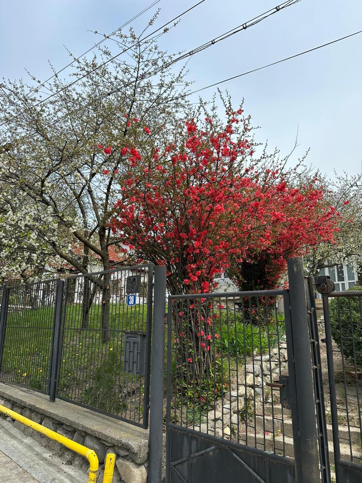 Photo 29