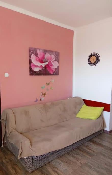 Comfy one bedroom apartment with parking lot Kotor view 5