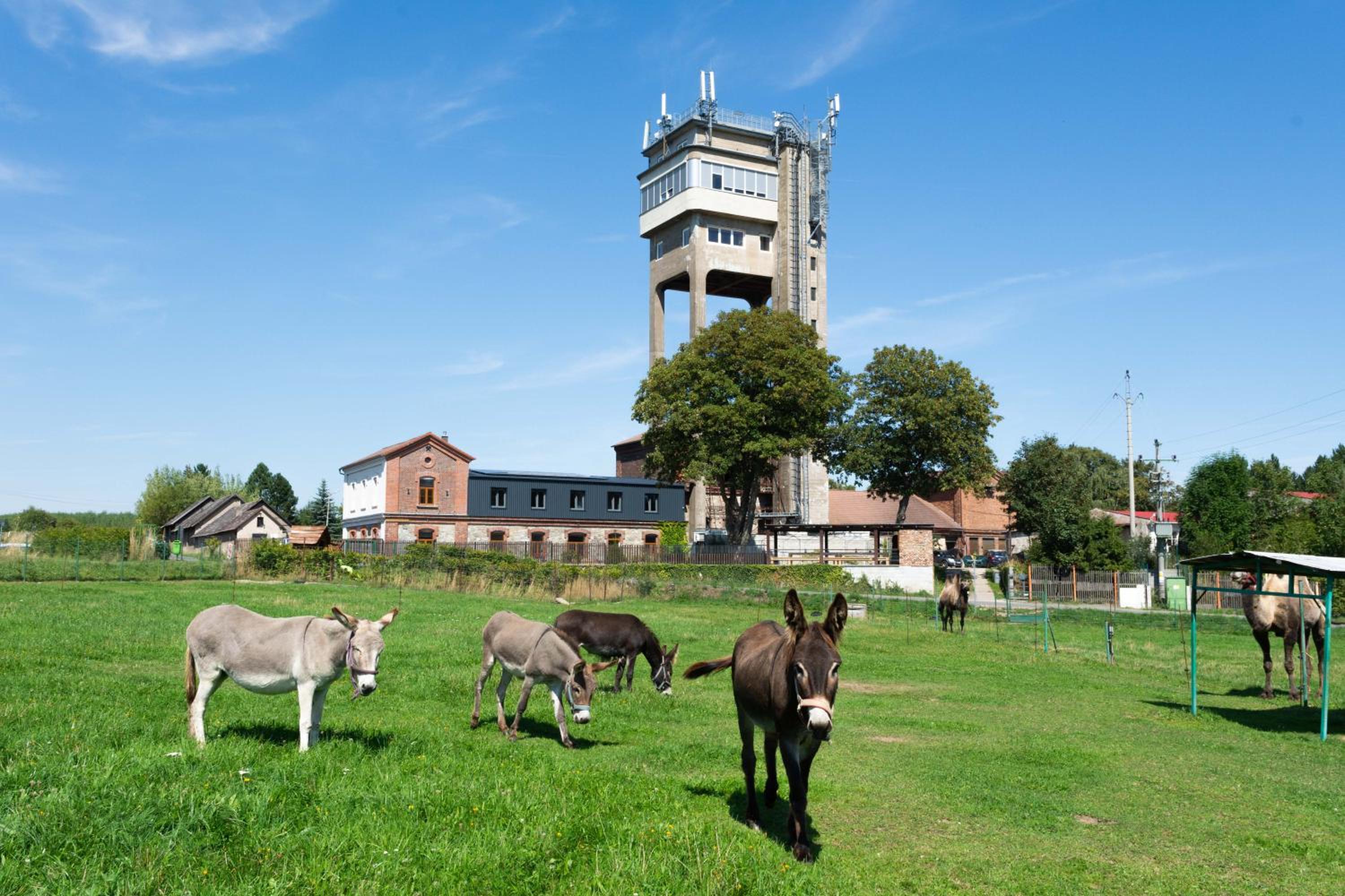 Hornický penzion
