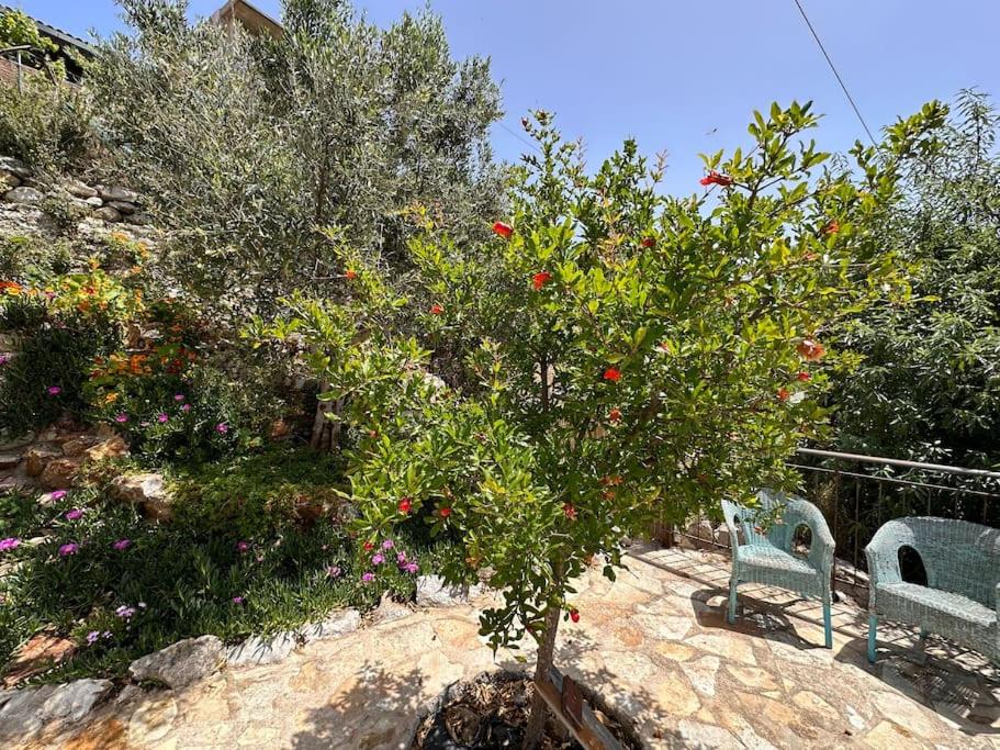 Photo 17