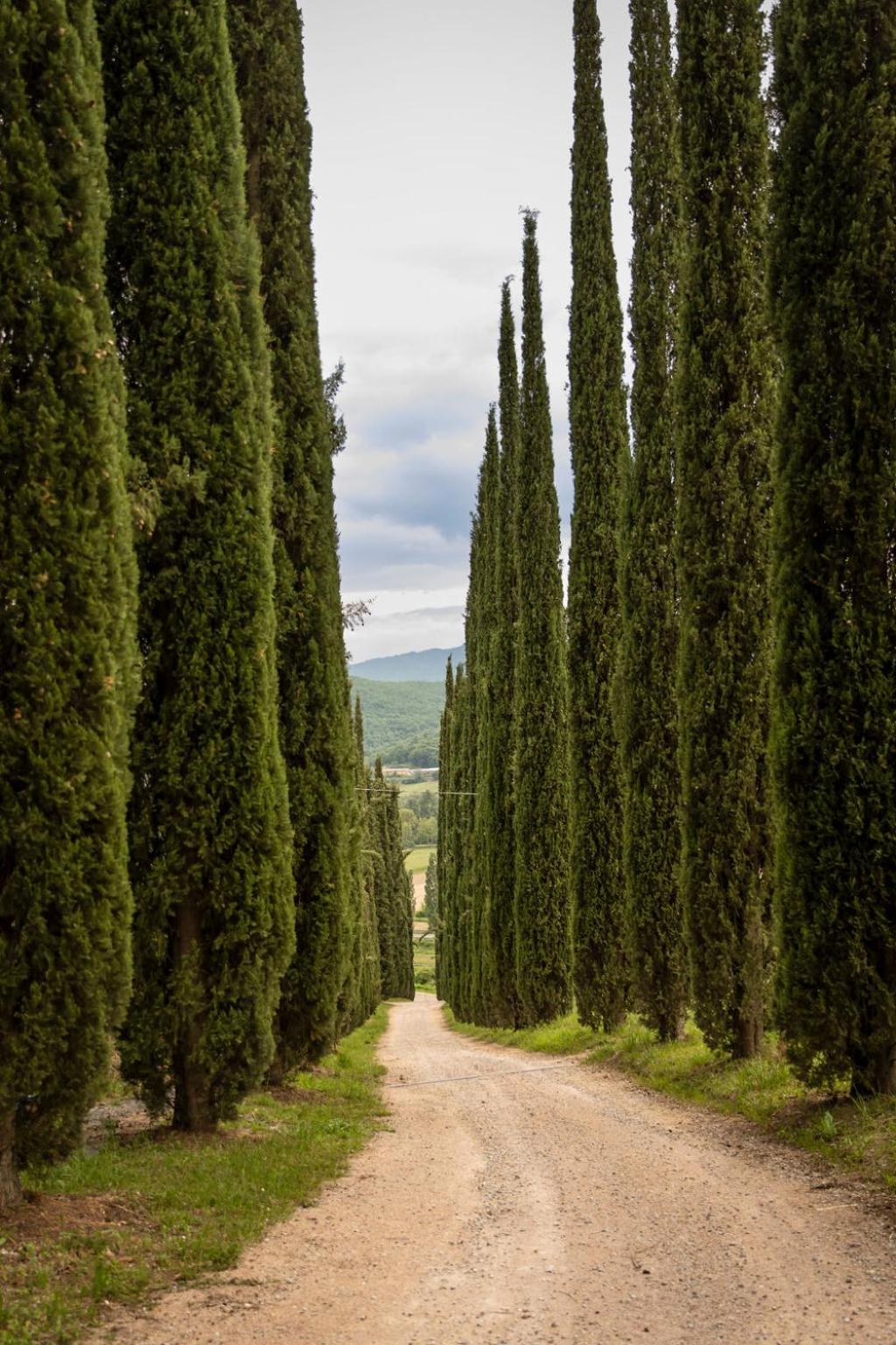 Agriturismo Le Pozze