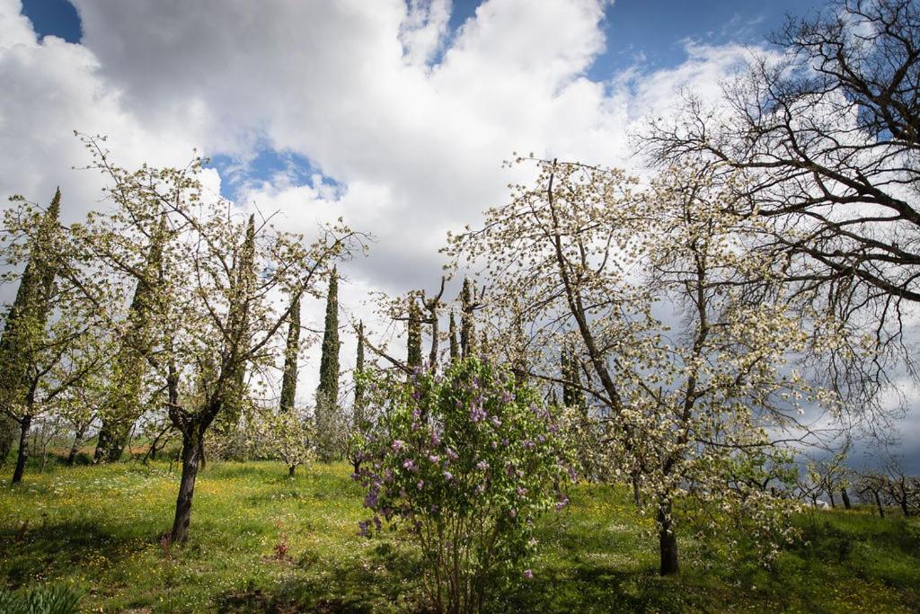 Agriturismo Le Pozze photo 5