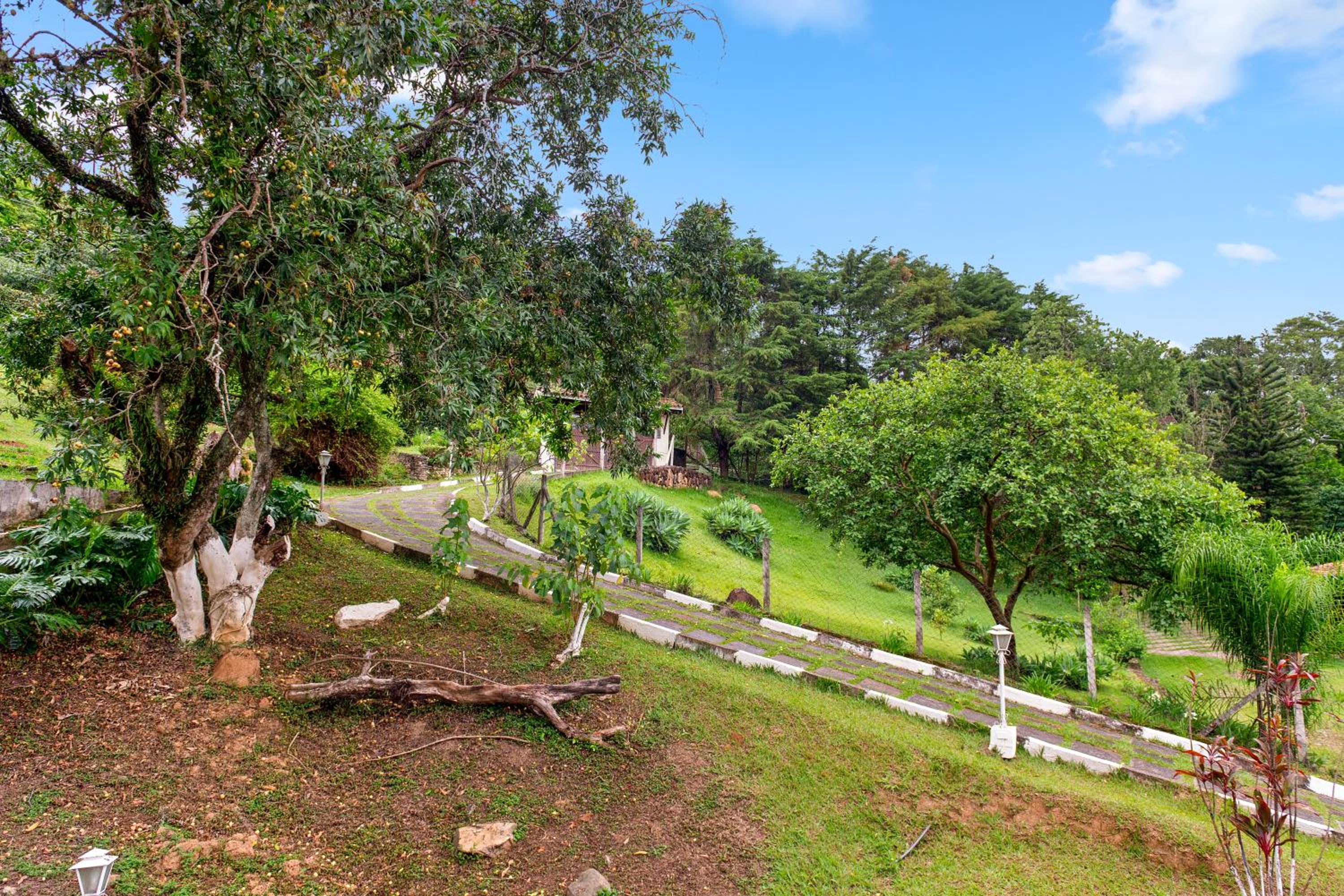 Paradisiacal getaway -Serra Negra