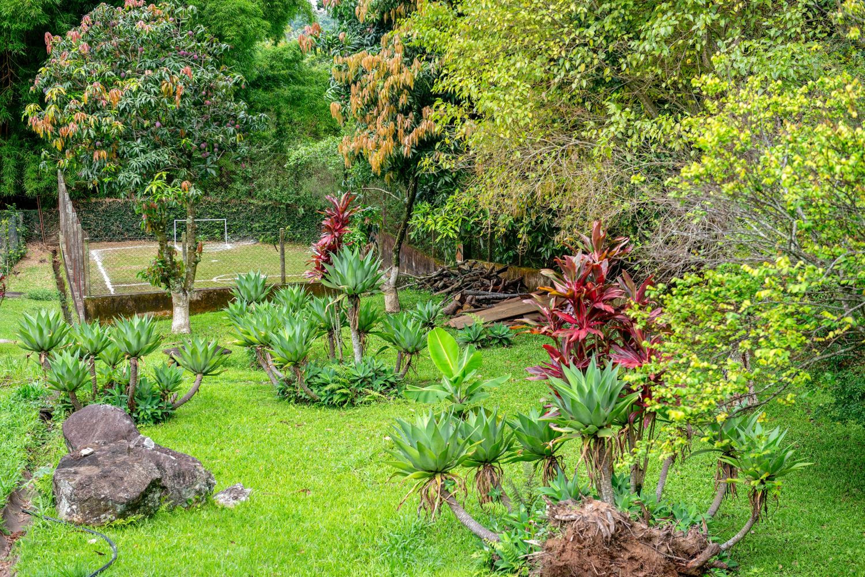 Paradisiacal getaway -Serra Negra