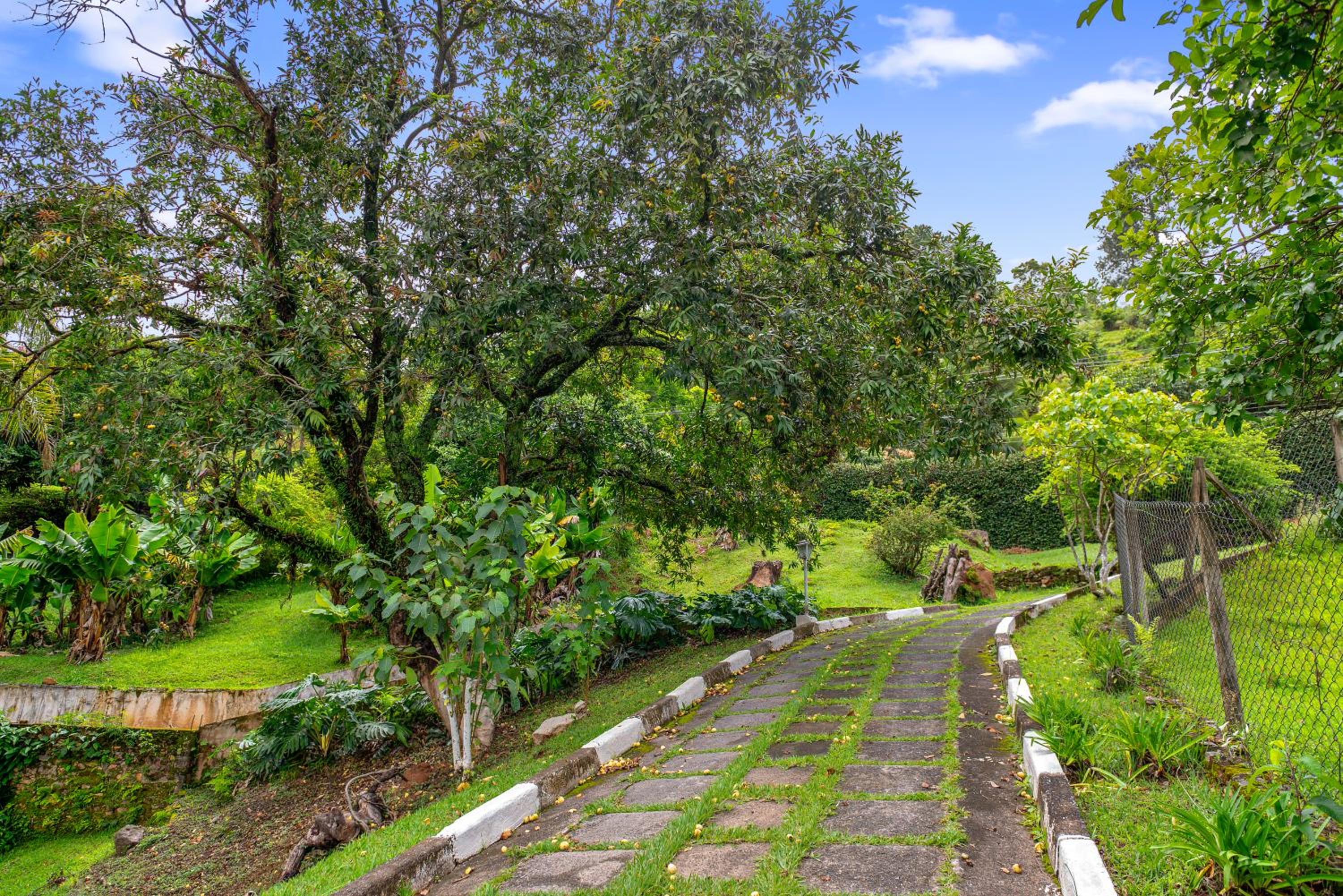 Paradisiacal getaway -Serra Negra