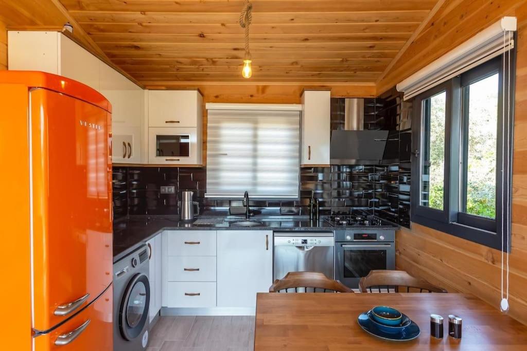 Villa Zeytin Havuzlu jakuzili