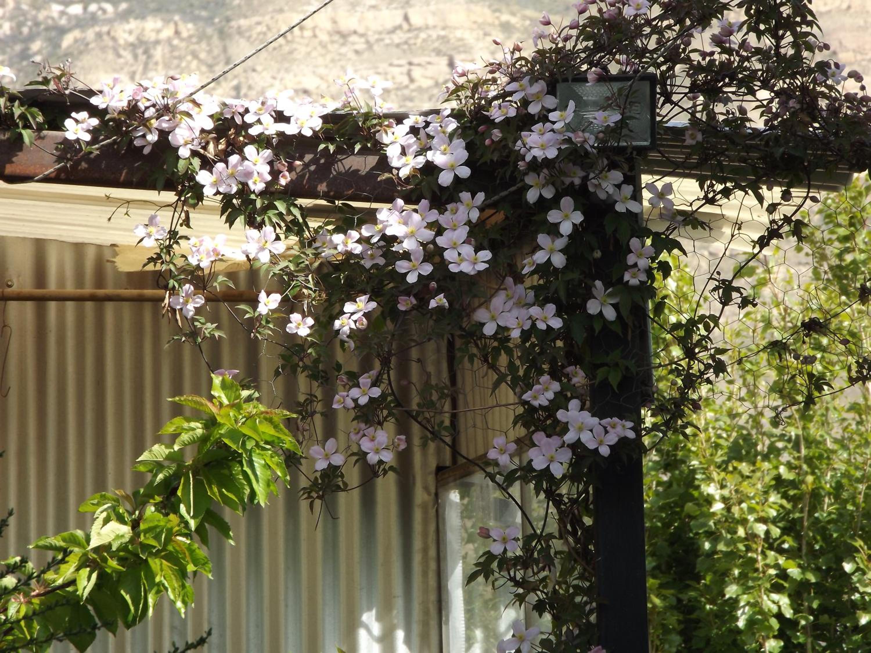 Kiritina´s House Homestay