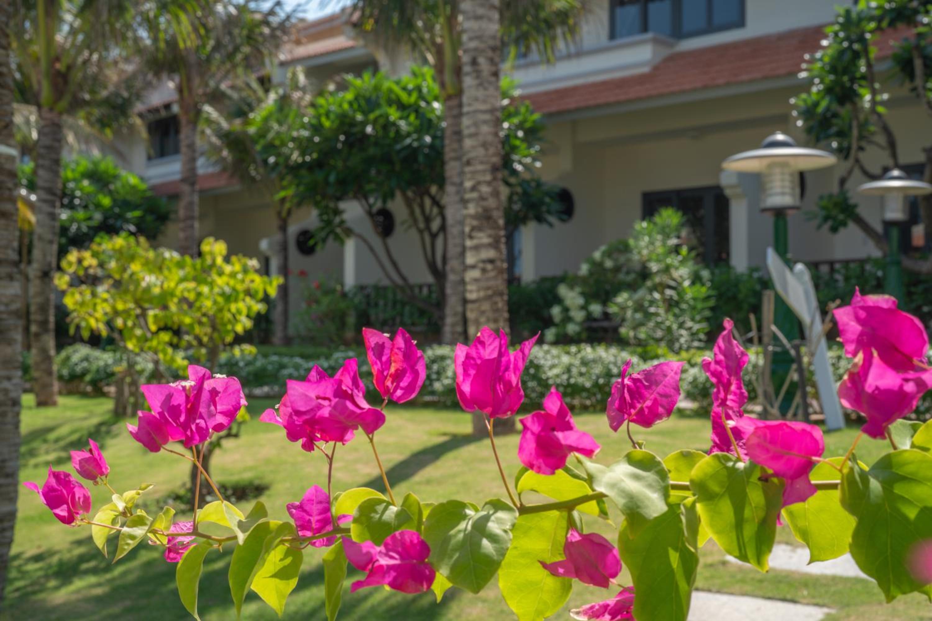 Blooming Lotus Resort