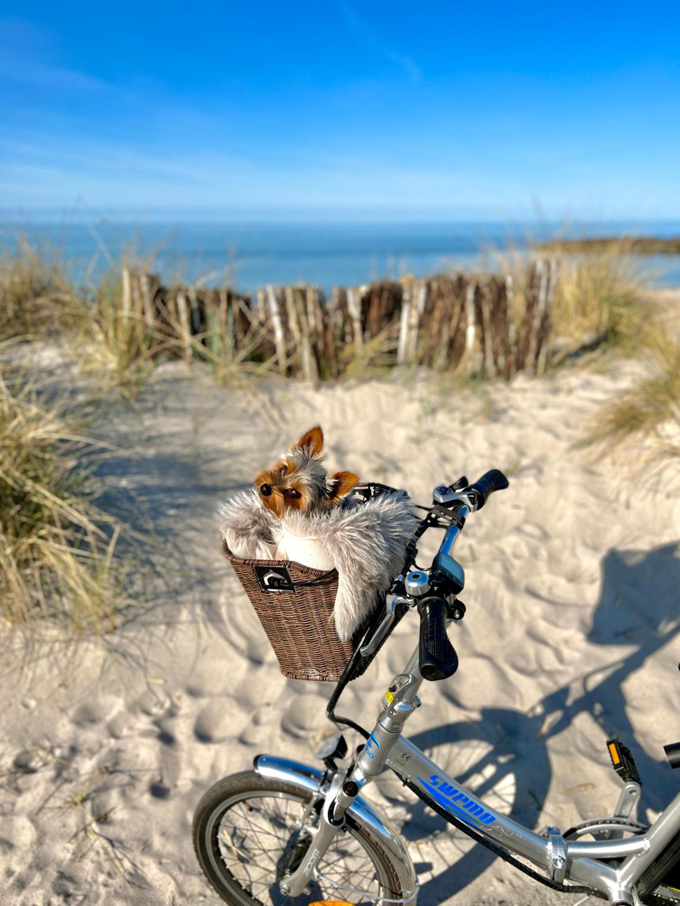 Ferienwohnung Strandliebe Laboe Ostsee