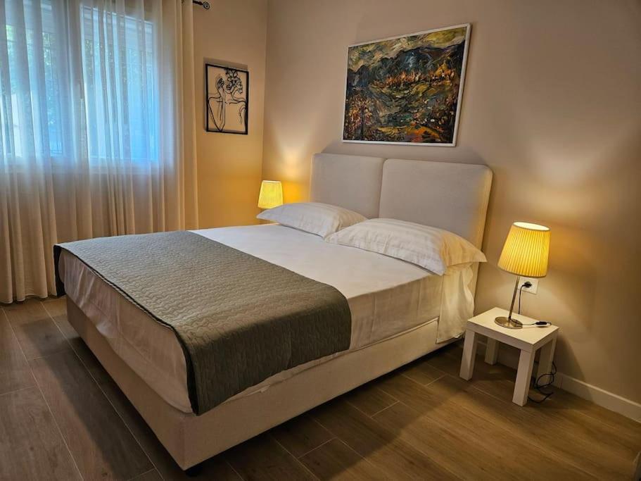 Brian's Apartment in Tirana 2