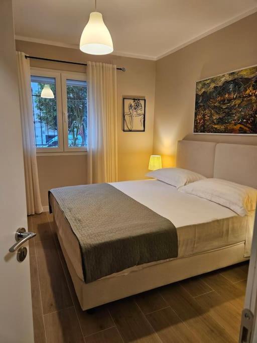 Brian's Apartment in Tirana 2