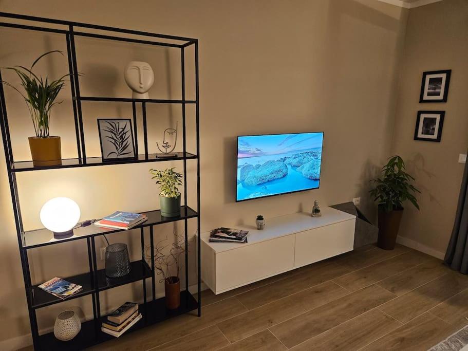 Brian's Apartment in Tirana 2