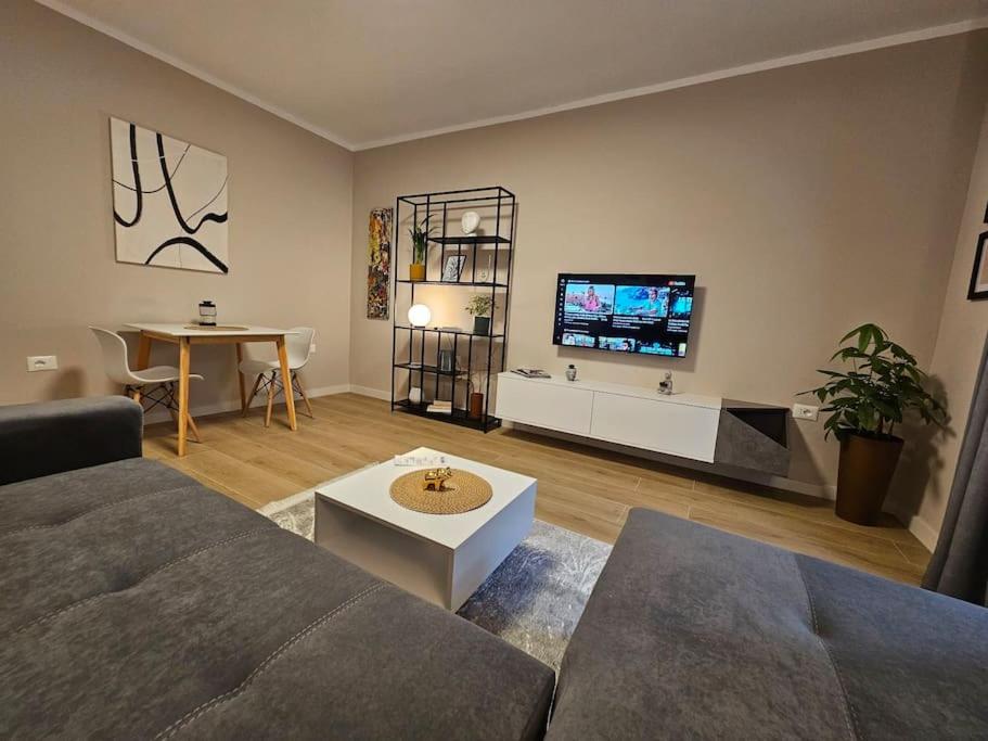 Brian's Apartment in Tirana 2