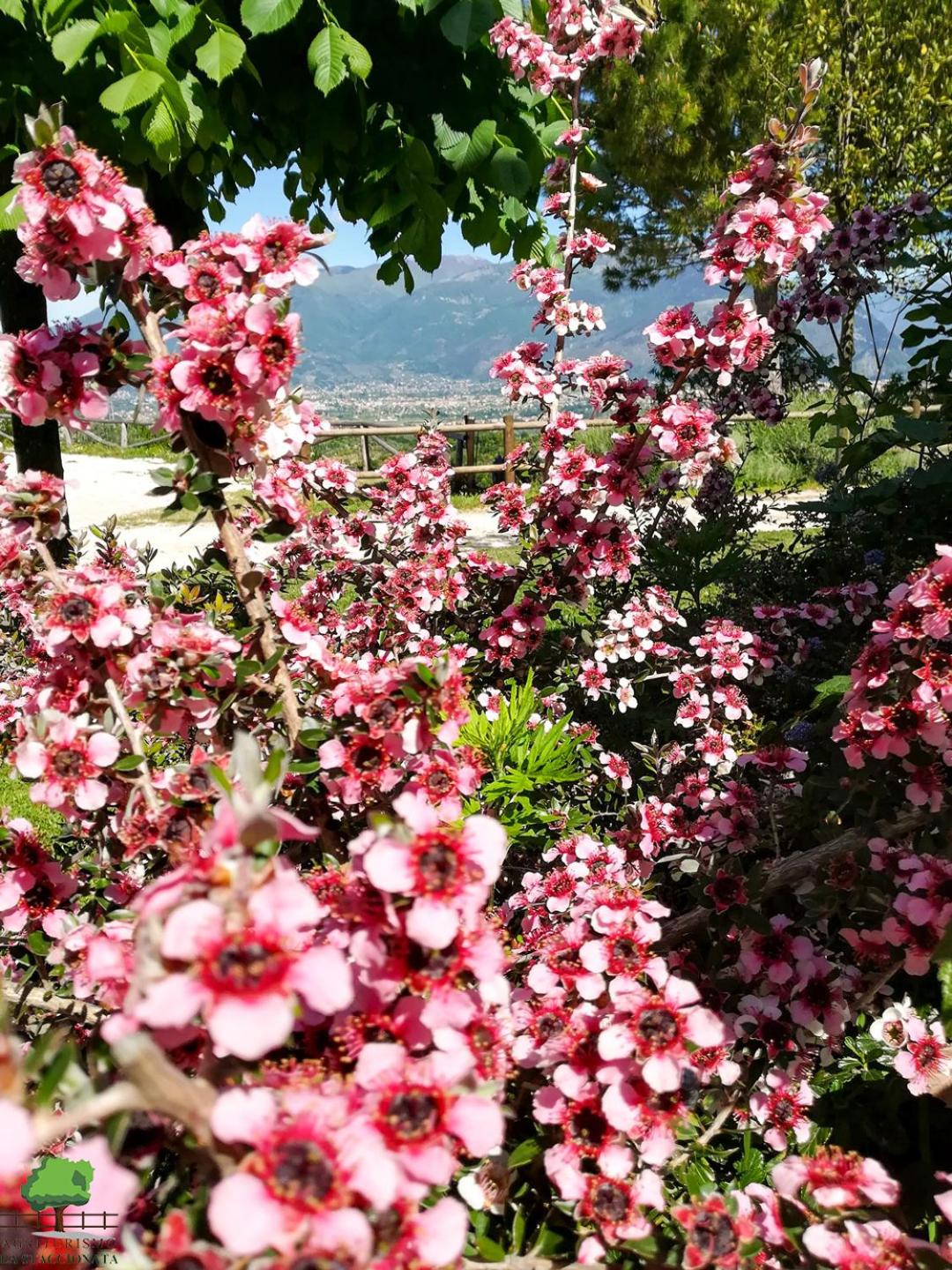 La Staccionata view 4