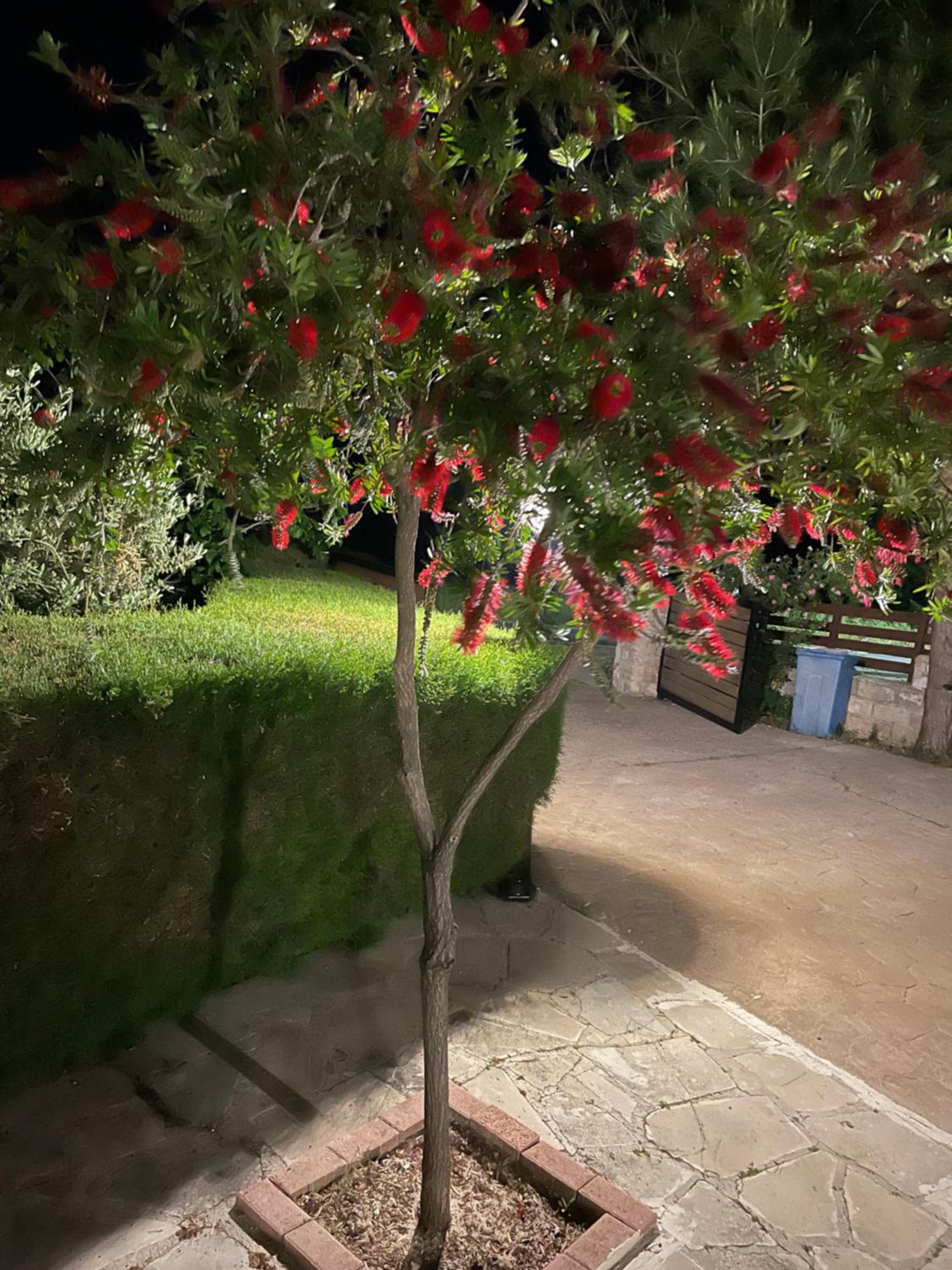 Photo 16